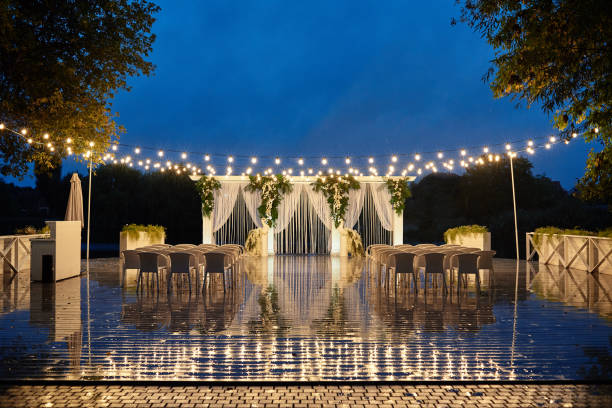 Outdoor Event Lighting: Twinkling fairy lights strung across trees at an outdoor event, creating a magical atmosphere.