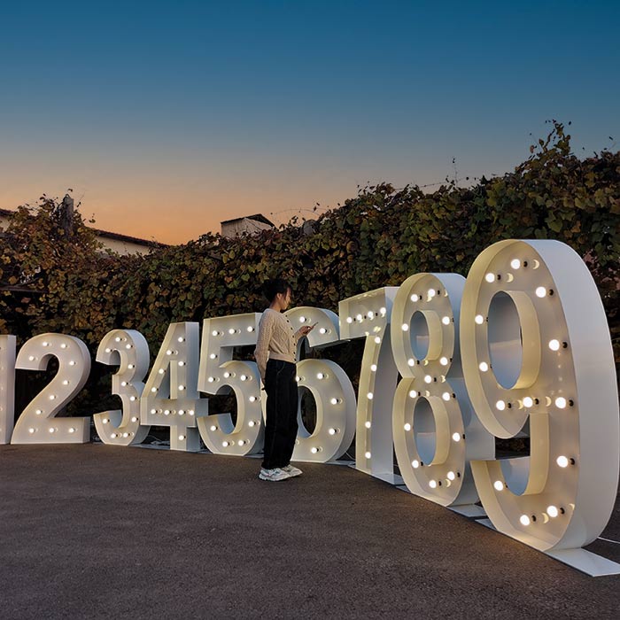 marquee number lights for events